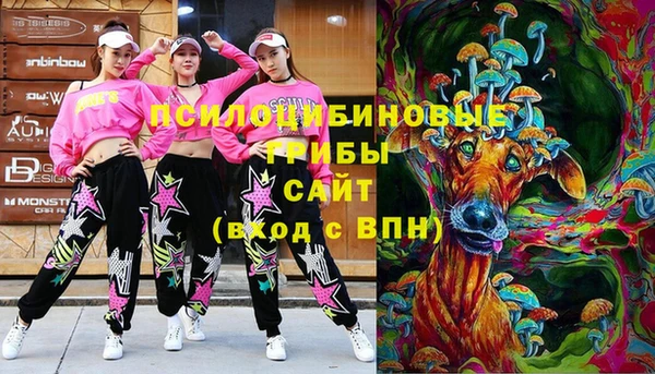 прущий лед Богородицк