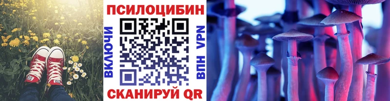 Галлюциногенные грибы мухоморы  Верхняя Тура 